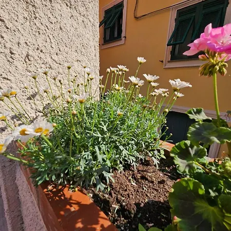 Il Giardino Di Iris Lägenhet