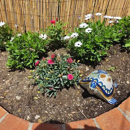 Il Giardino Di Iris *