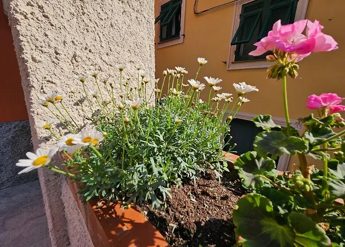 Il Giardino Di Iris Lägenhet