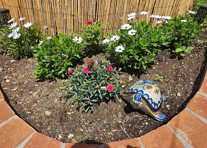 Il Giardino Di Iris *