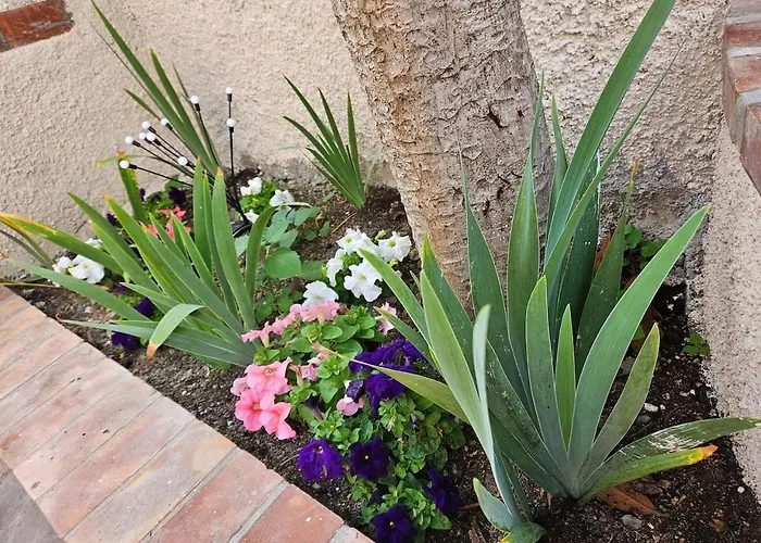 Il Giardino Di Iris * Genua