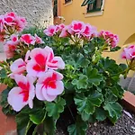 Il Giardino Di Iris *